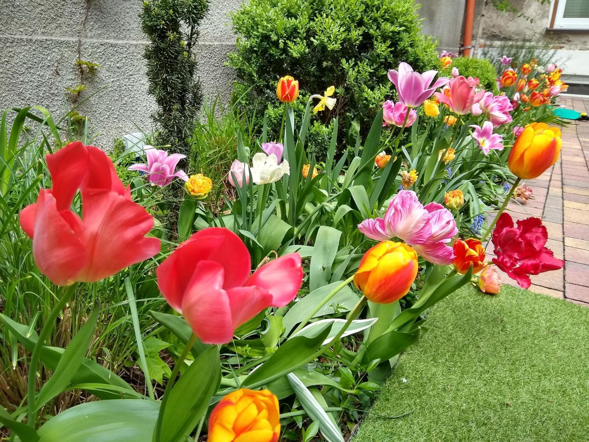 Poezja Apartment Люблин Екстериор снимка