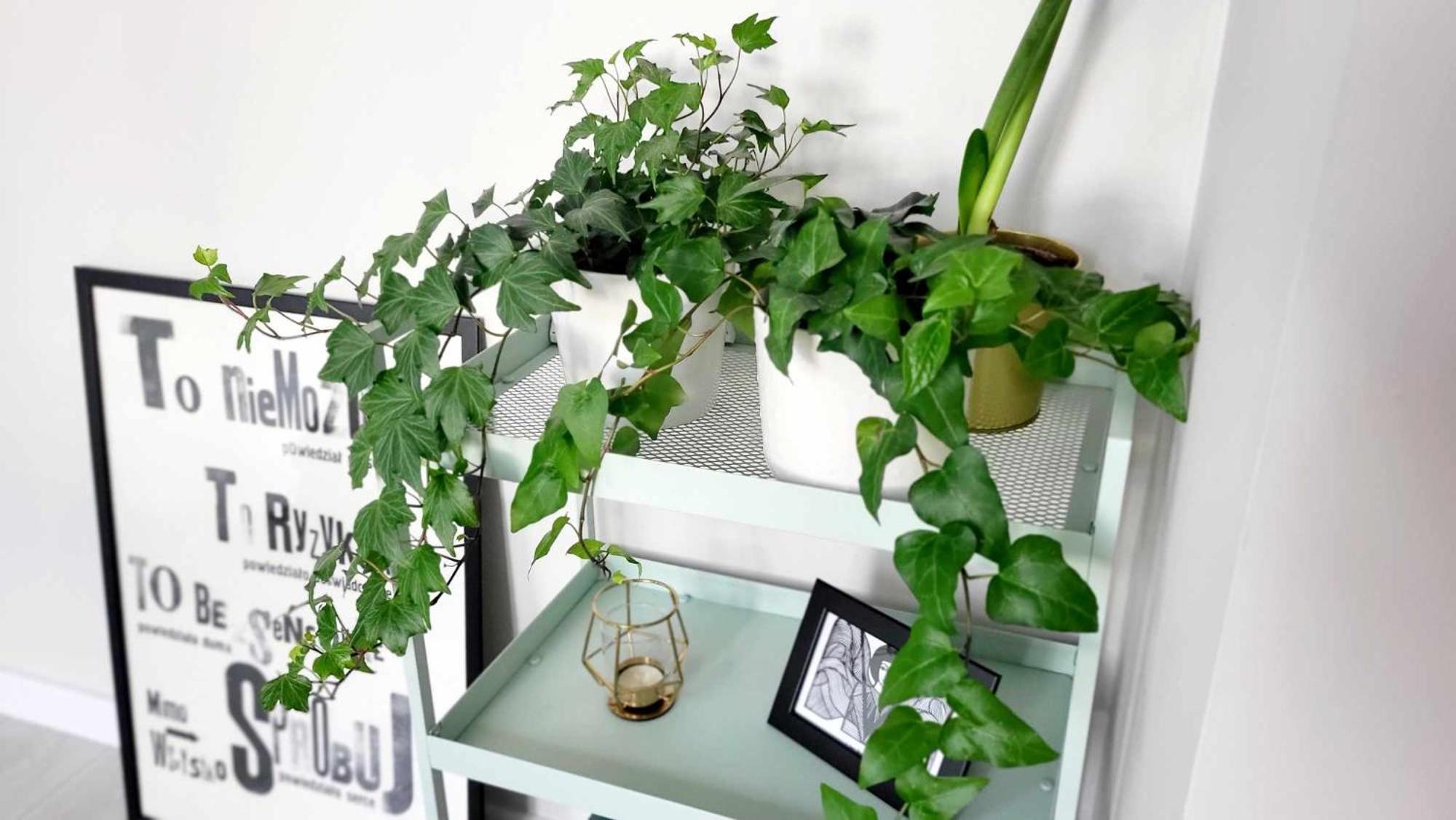Poezja Apartment Люблин Екстериор снимка